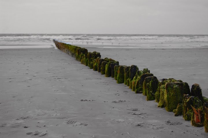 Norderney by heinemannh