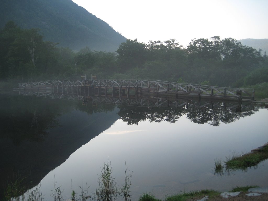 Willey Dam by Lee Hillsgrove, Sr.