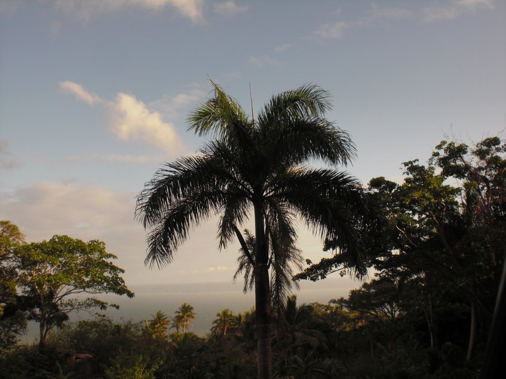 Las Terrenas, Samana, Dominican Republic by www.votava.do