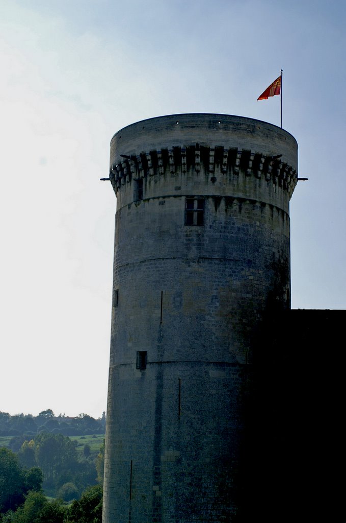 Falaise - Chateau de Guillaume le Conquérant by excoffons