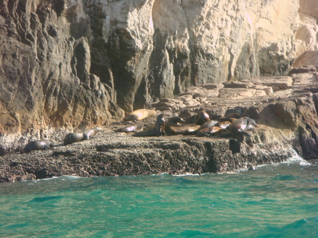 Cabo San Lucas, Baja California Sur, Mexico by Ulises Mena