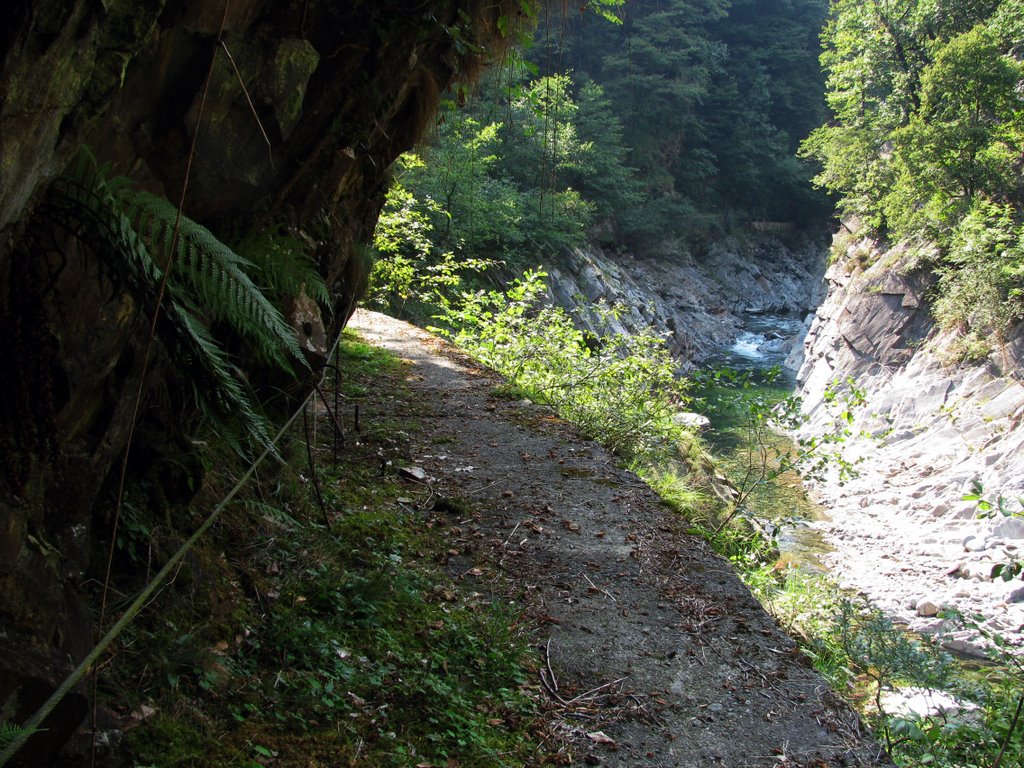 Canale in curva...sul Rio Valgrande, verso la I Diga by Marco Carnelli