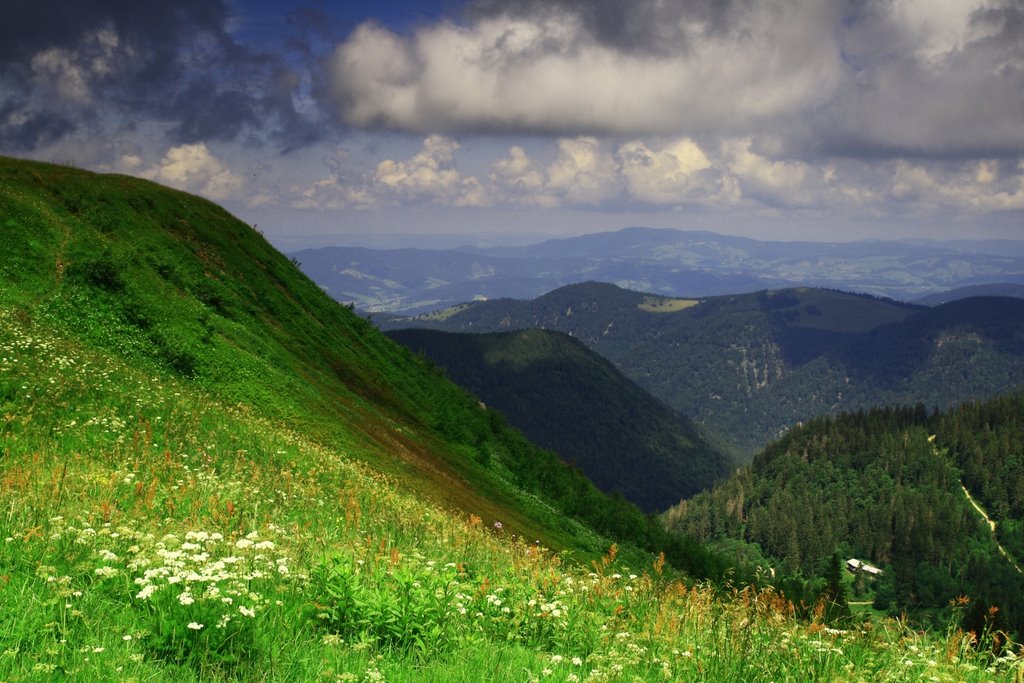 Feldberg by davidbaluch