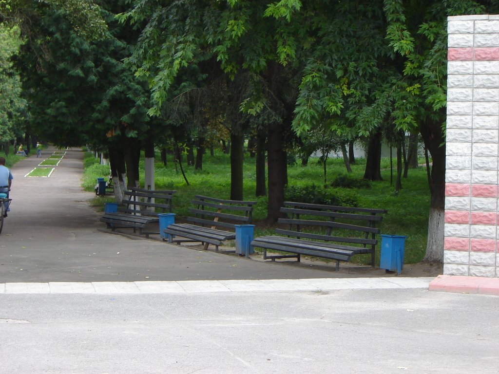 City park. Kozelets, Chernigiv region. by Viktor Ugrin