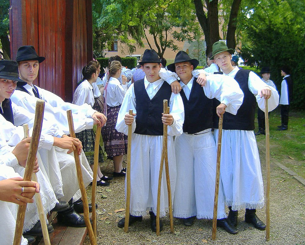 Pózoló legények - Priggish lads by Károly Kovács