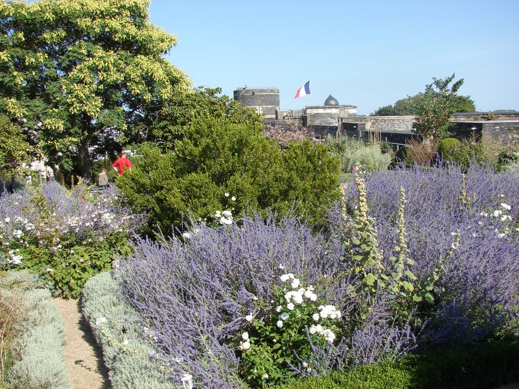 Château, Angers, Pays de la Loire, France by M.Strīķis