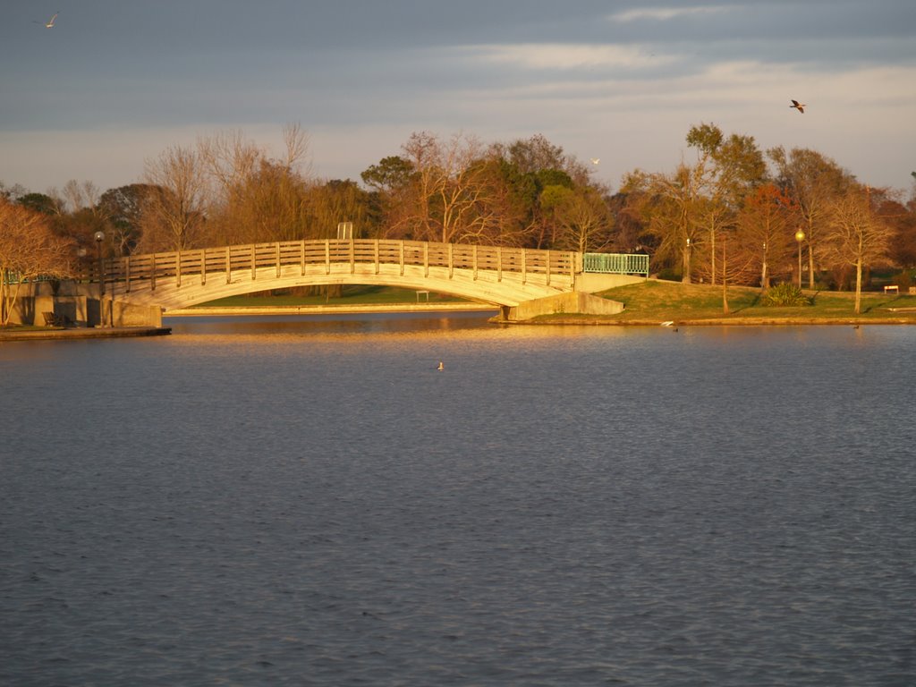 Golden Bridge -Lafreniere park, by painperdu