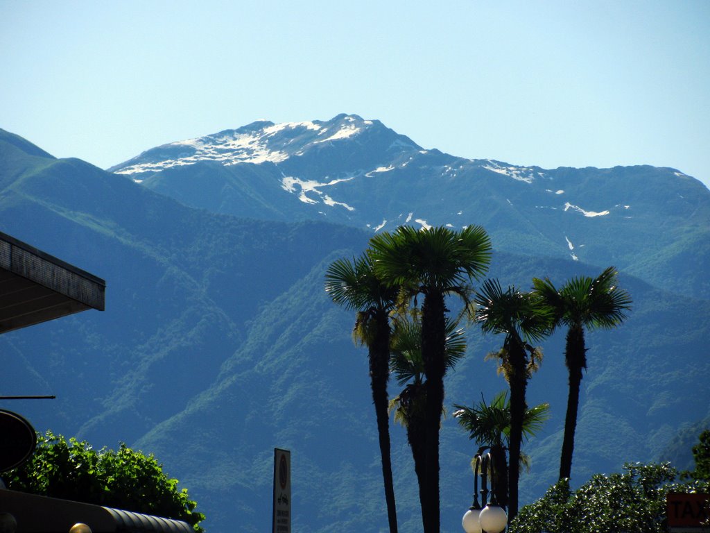 Monte Massone fra le palme da Verbania Pallanza by Marco Carnelli