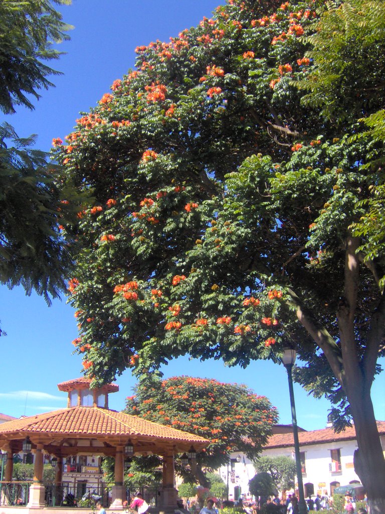 Centro de valle de bravo by sjuan_arturo