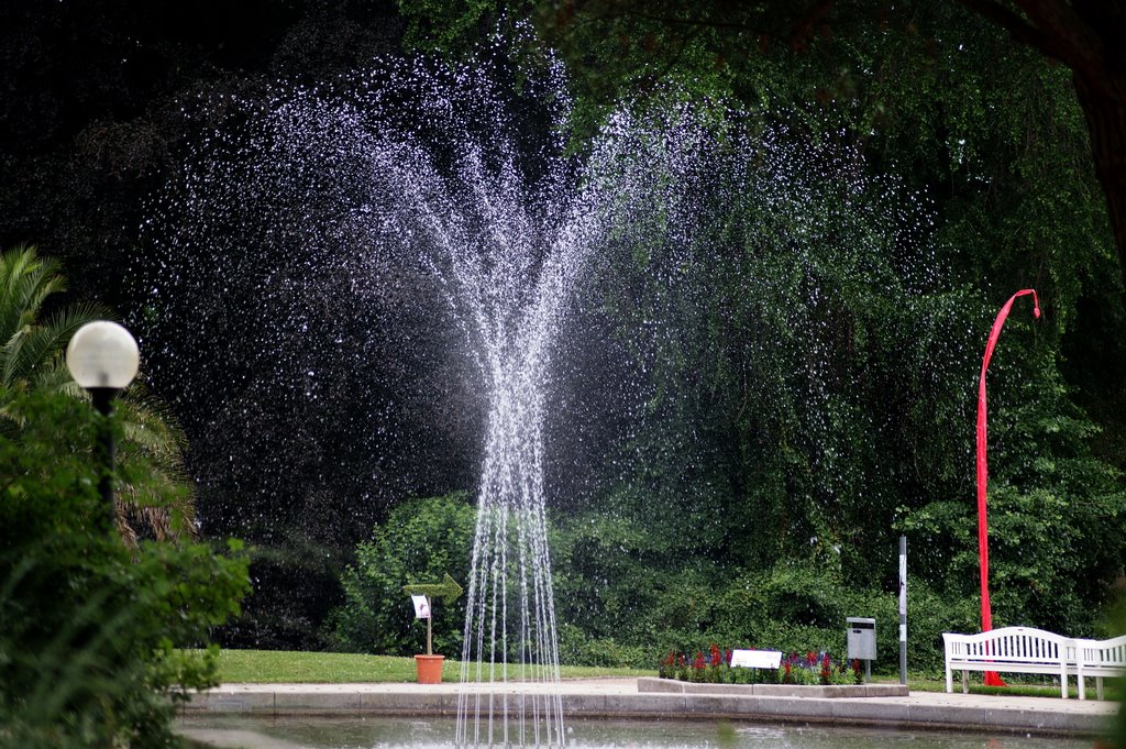 Ffm. - Palmengarten, Springbrunnen-Symphonie II by wolfbam