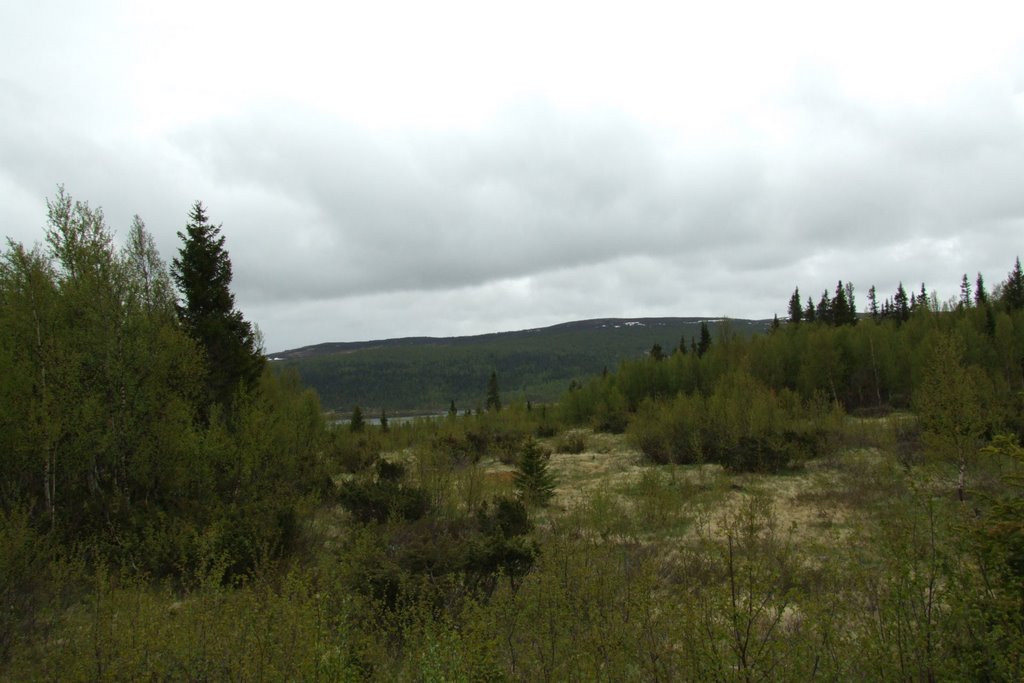 Berg S, Sweden by Åke Svensson