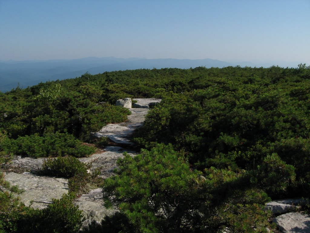 High Point View North by Chris Sanfino