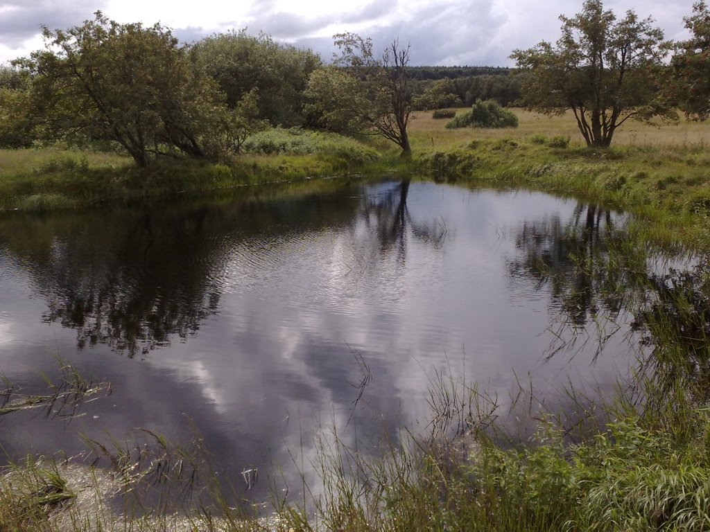 Přední Cínovec rybník by Fine Marx