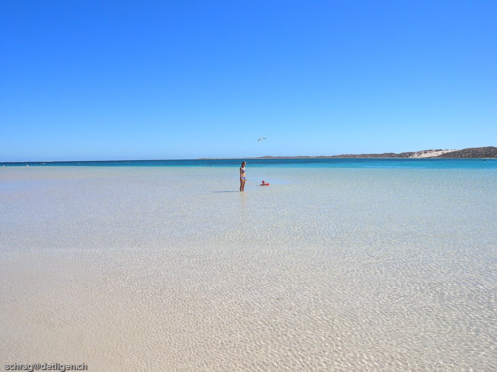 Coral Bay by schrag