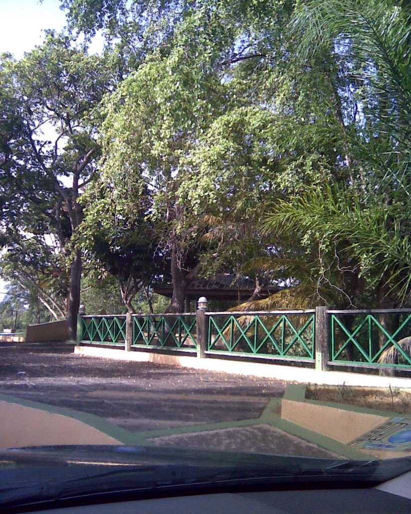 Paseo Tablado, Camuy by Don Osvald