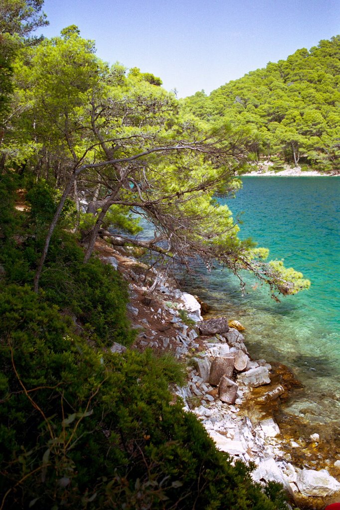 National Park Mljet by Bobr