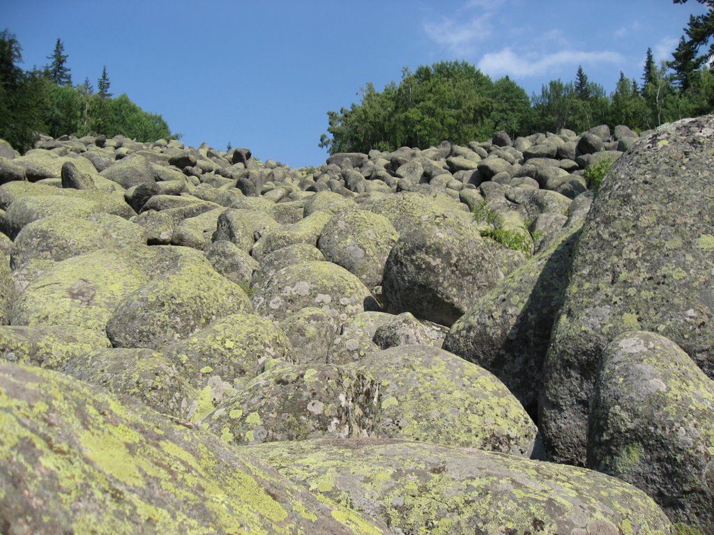 Bulgaria,Vitosha mountain,big stone by pilfer