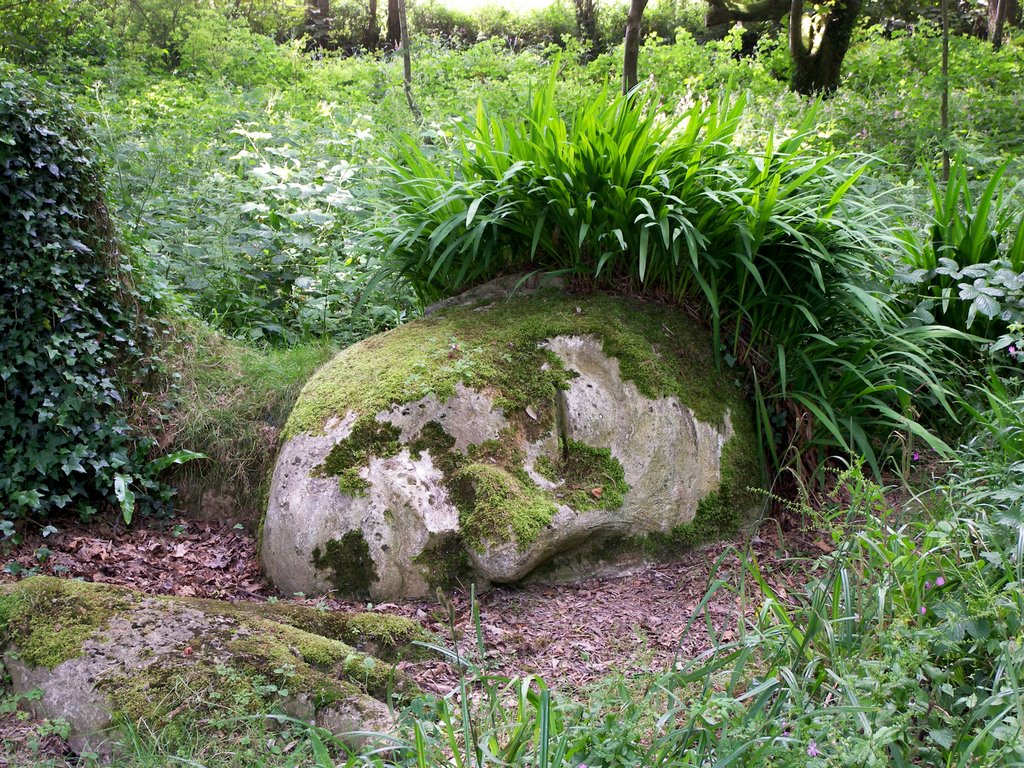 The Lost Gardens of Heligan, Cornwall {The Mud Maid} by CAB1