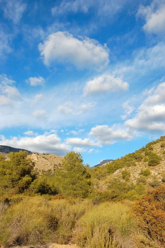 The road from Aledo by Colin Hughes