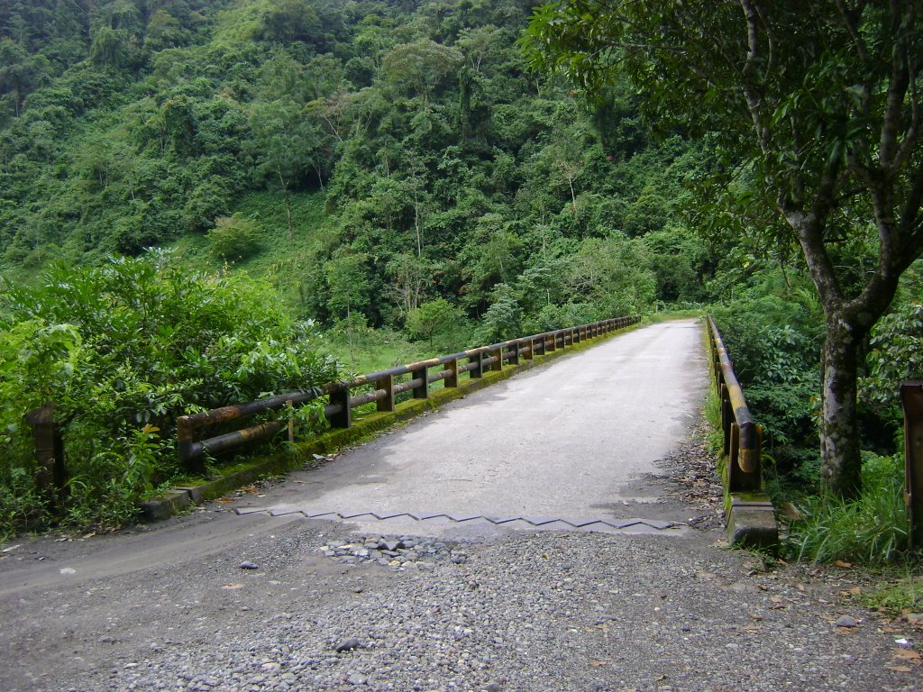 Puente Rio Guavio by hramos777@gmail.com