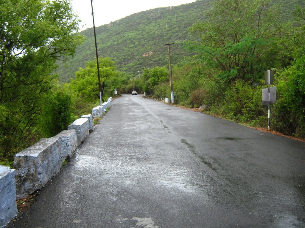 Silent Ghat Road-Maruthamali by Vichu