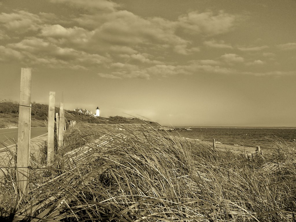 #13 Nobska Beach, Sepia by Mary Alice Donaldson