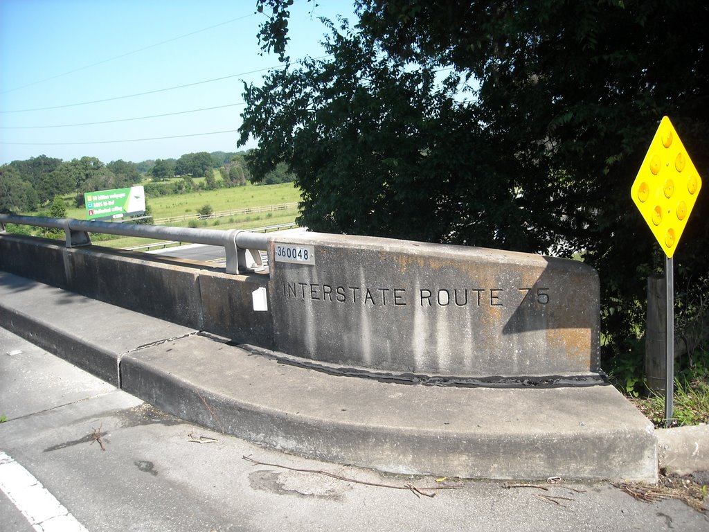 I75 Overpass at 66th Ave. by suznews