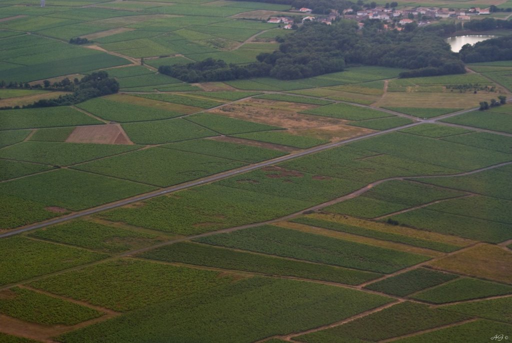 Vignoble & Etang des Tuileries (arg.85@orange.fr) by Arnaud Gauthier Phot…