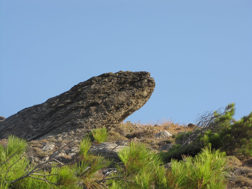 "Lizard" rock by altego