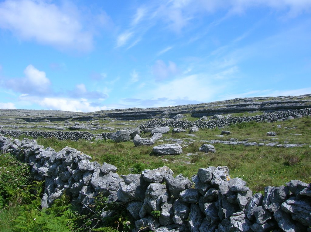 Burren "Green Road", Co. Clare by Makake77