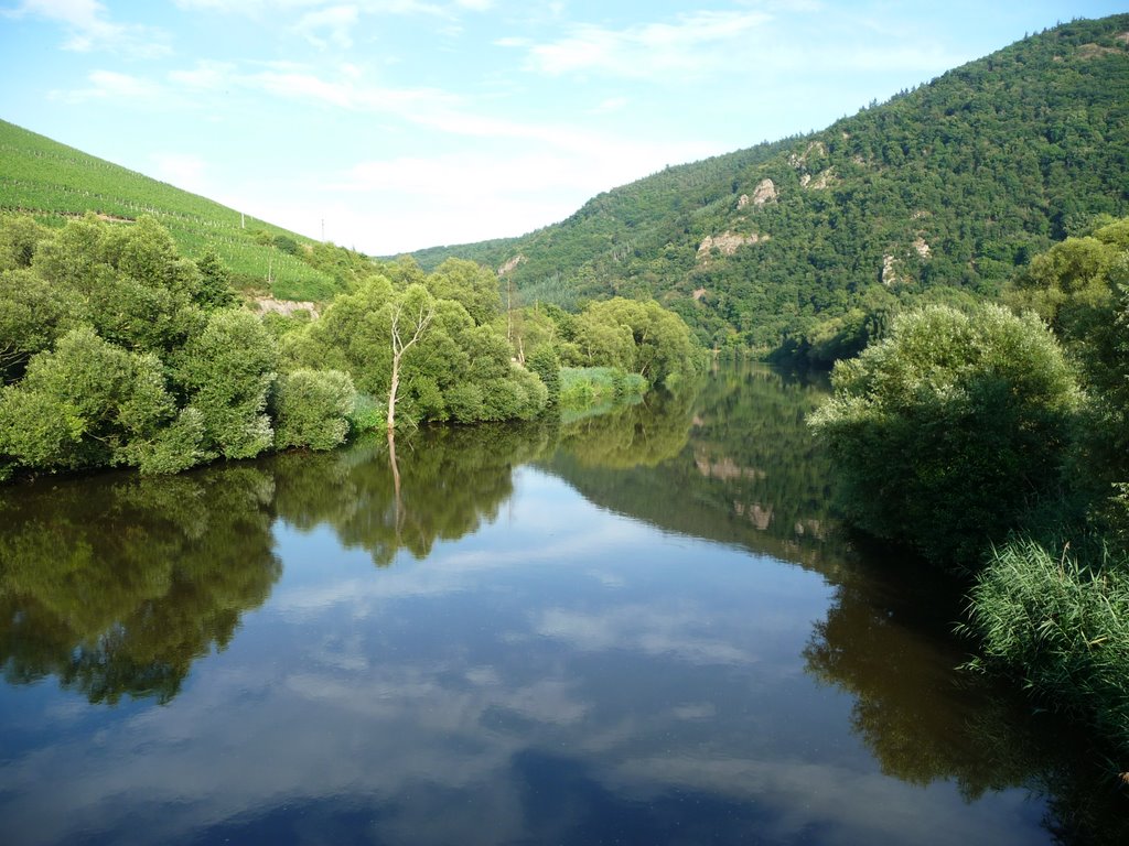 Natur pur bei Oberhausen an der Nahe by giggel