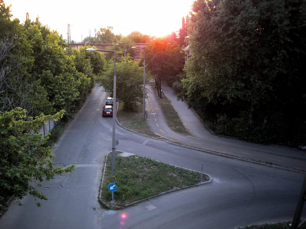 New bike path by Szilárd Hegedüs