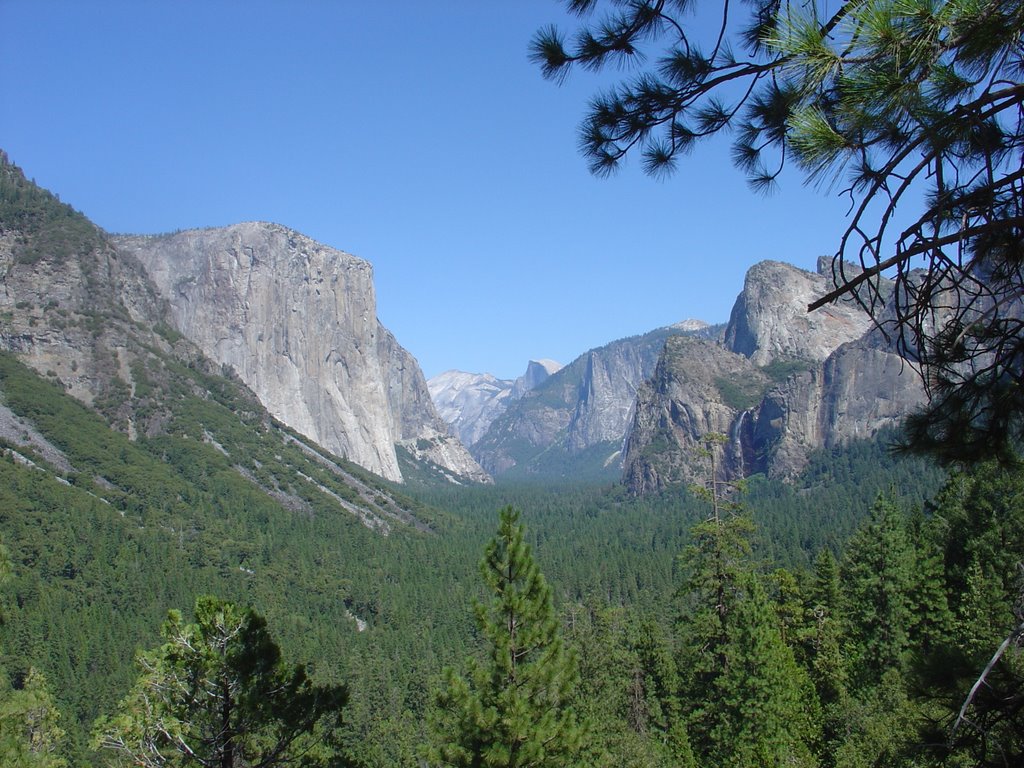 Yosemite Valley by Kathi Kaiser