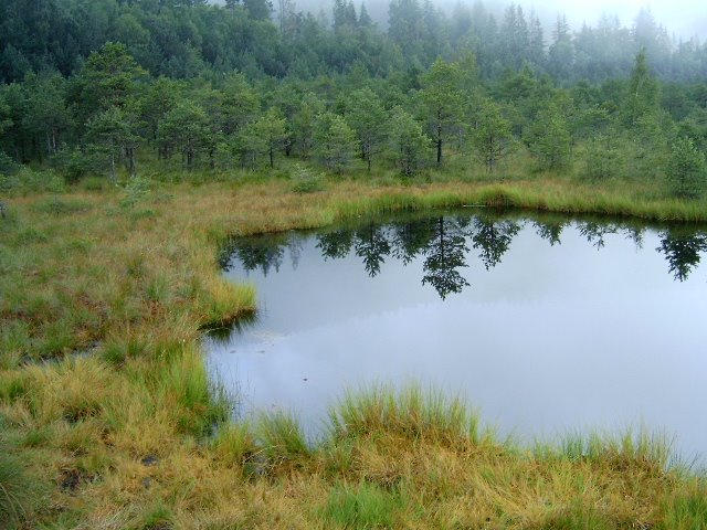 Románia, Mohos láp (Tinovul Mohos), SzG3 by Gábor Szalay