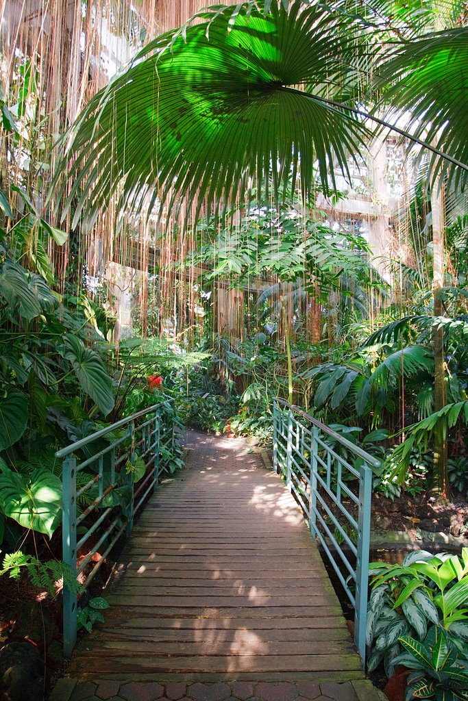 Bridge in Fuqua Conservatory by verygreen