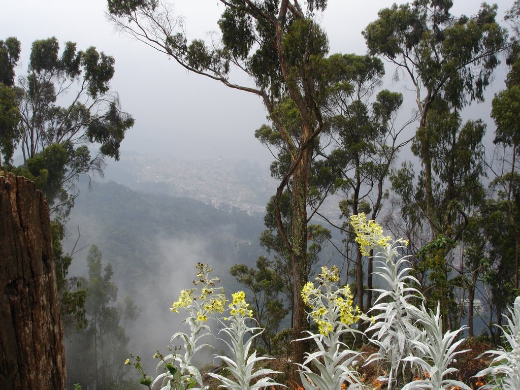 Paysage de Monserrate - http://cpqs2.blogspot.com by CPQS