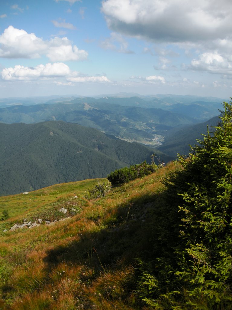 Comuna Dorna - Arini, Romania by *daniela