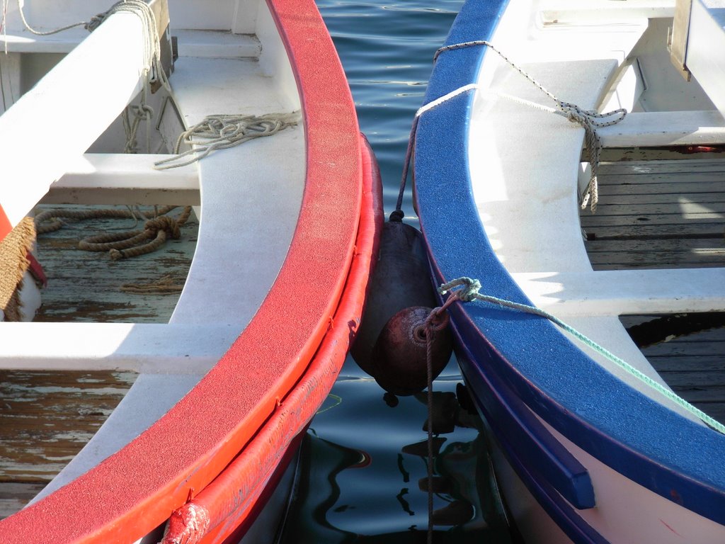 La ciotat - Harbor by schseb