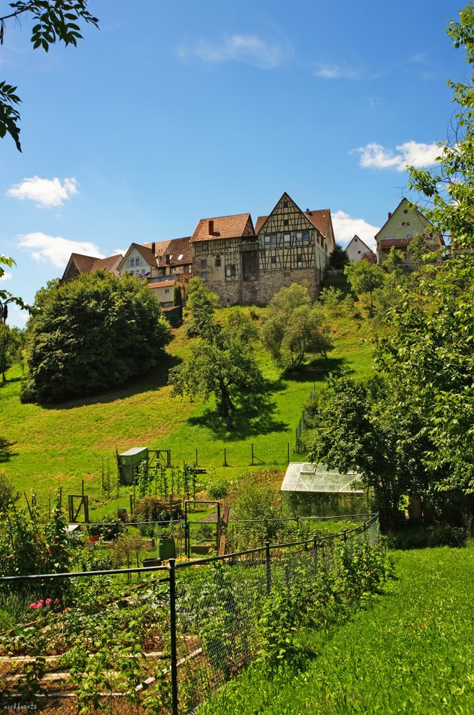 Dornstetten - Stadtmauer in der Mittagssonne by mellifikation