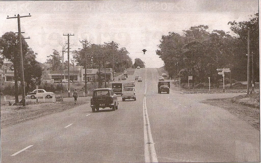 The Blinking Light at the intersection of Warringah Rd & Wakehurst Parkway by haylzmcm