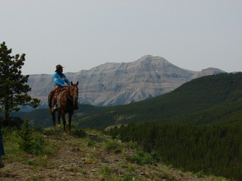 Trail Ride, Sheep River Provincial park by misspaxley49