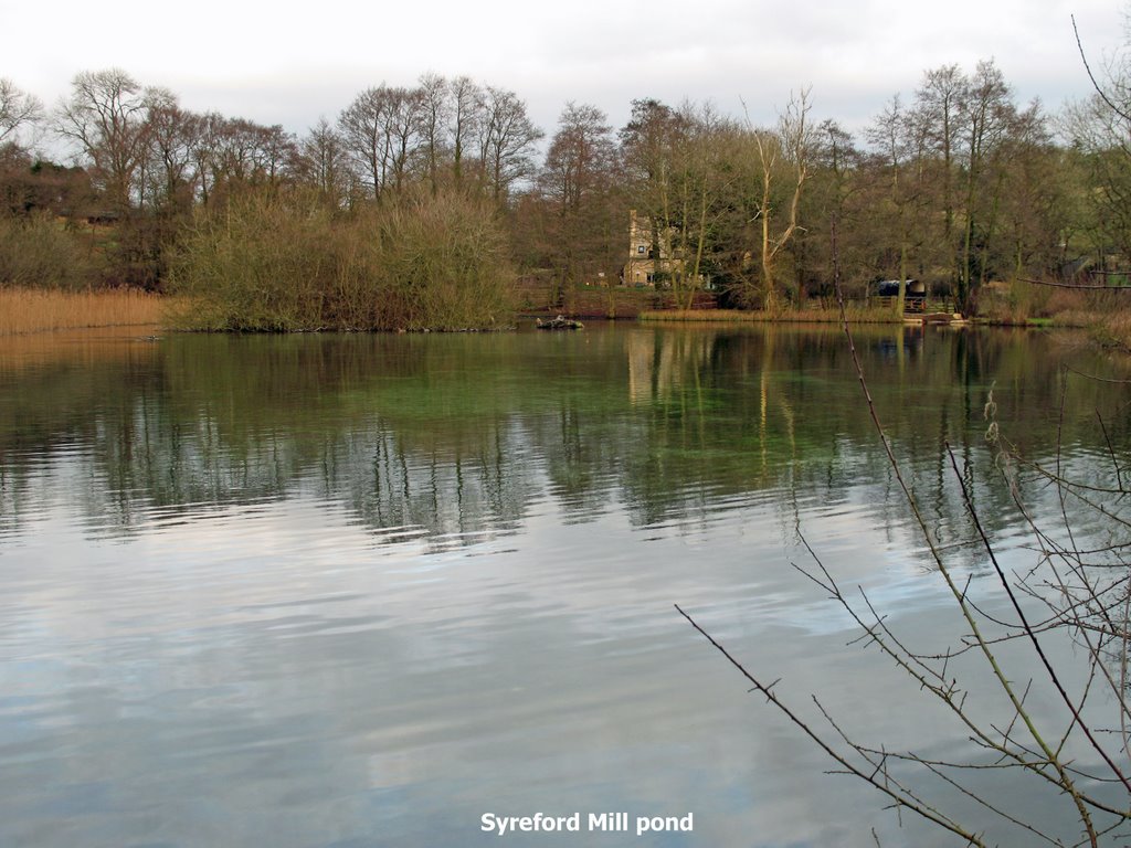 Syreford Mill pond by Collin West