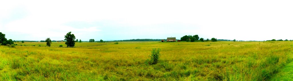 Codori Farm by Layne Parmenter