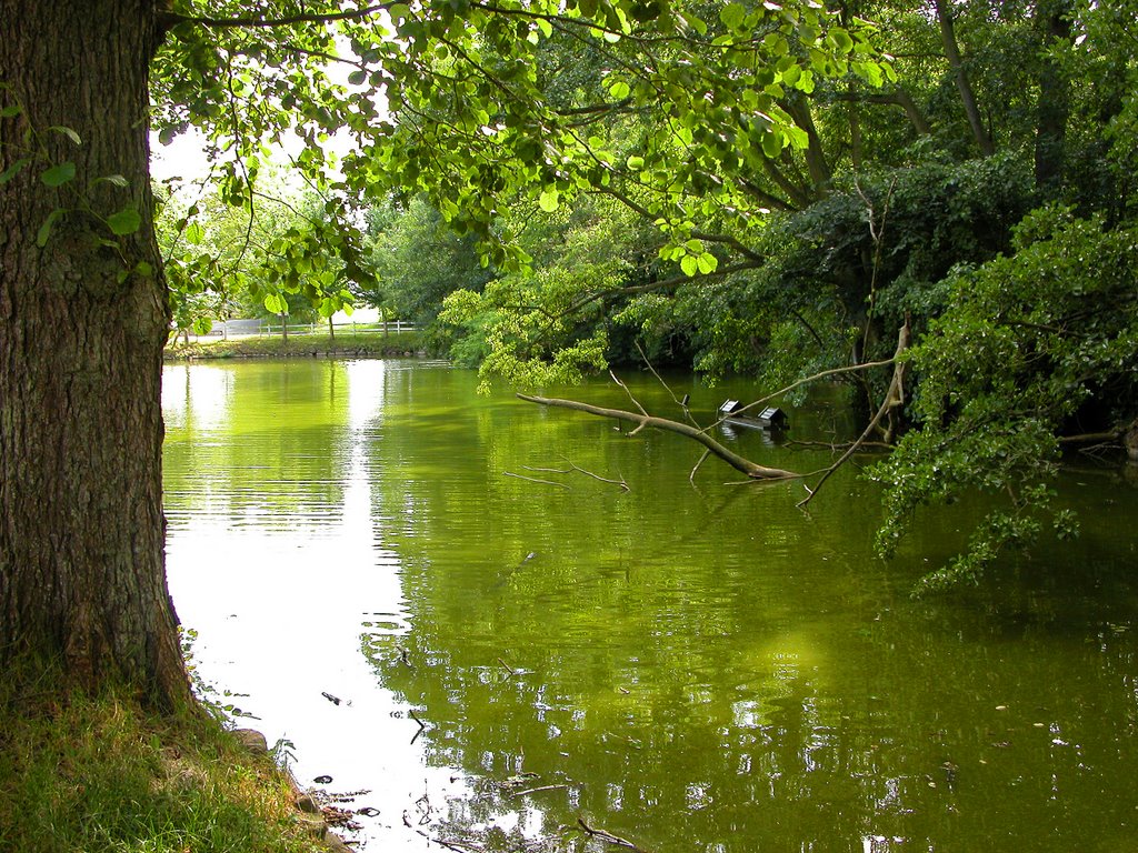 The witch pond, by Per Allan Nielsen by Per Allan Nielsen