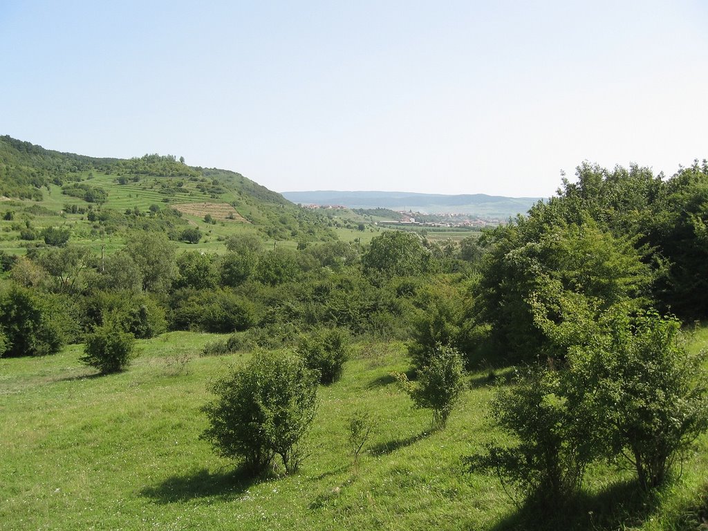 Aiud, Romania by AndreiX