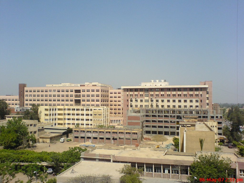 Faculty of medicine at shibin al-kom by Usama Fath