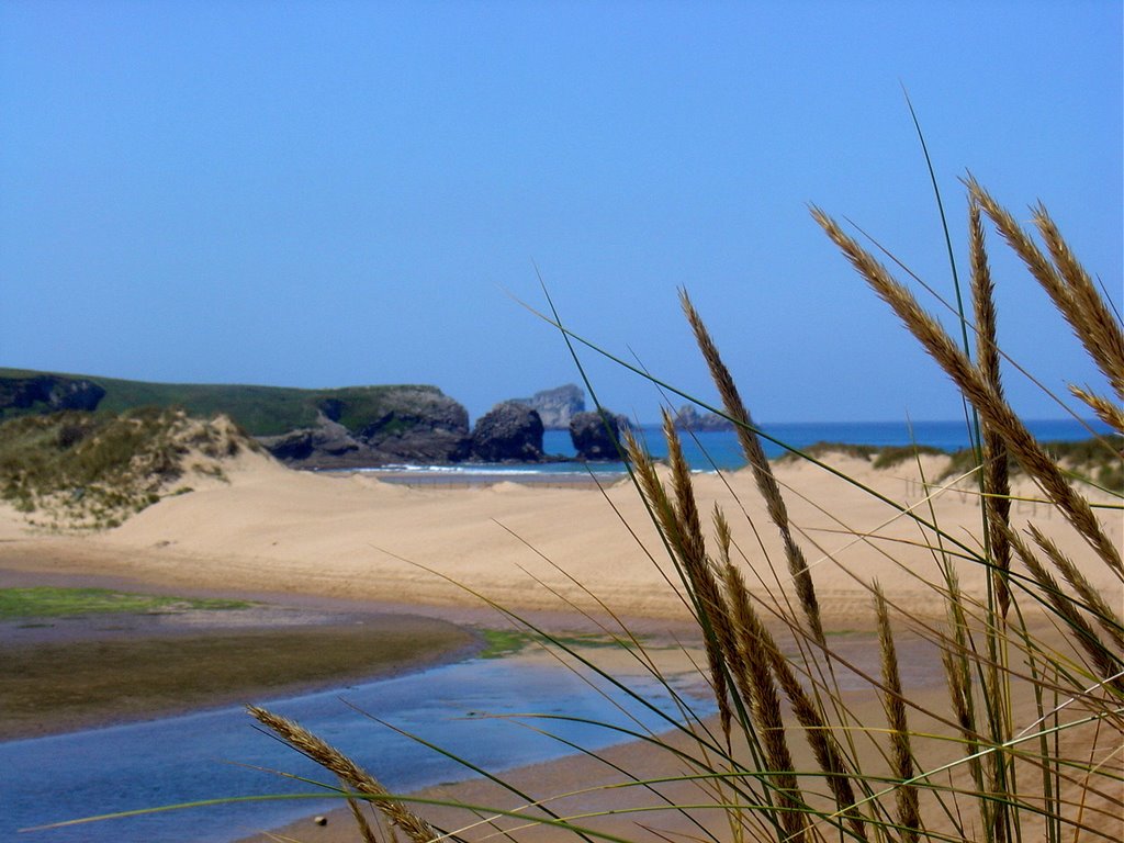 MAR DE DUNAS (P. Natural Dunas de Liencres) by SUAVIA/Miguel 1