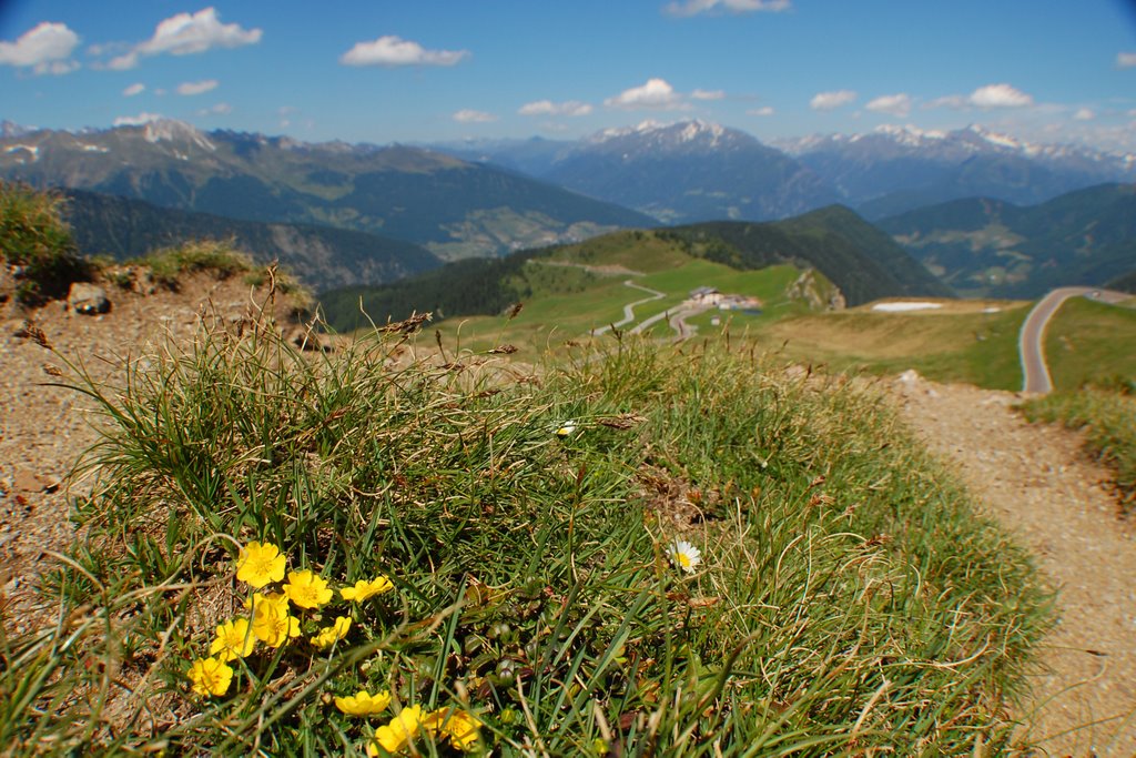 Passo di Monte Giovo, Italy by spinxen