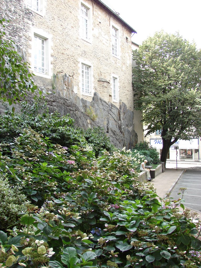 Boulevard Carnot, Angers, Pays de la Loire, France by M.Strīķis