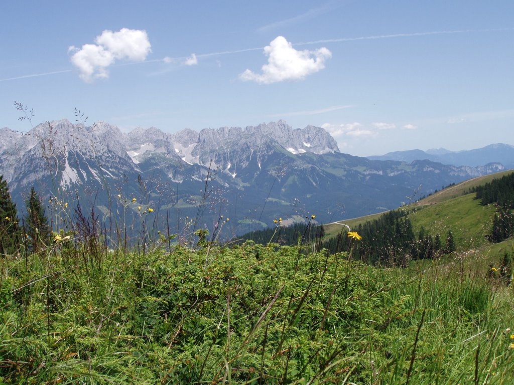 Wilder Kaiser by J. Schäfer